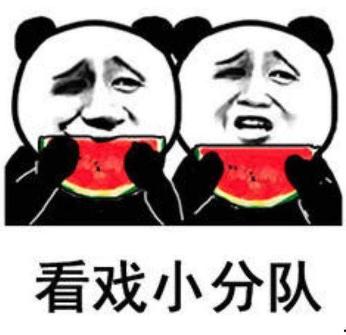 娱乐吃瓜最前排,吃瓜群众前排揭秘