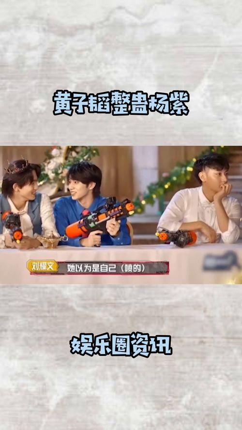 娱乐圈吃瓜小说综艺文,瓜田里的甜蜜较量